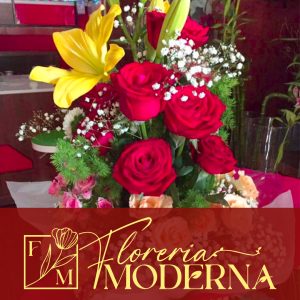 Floreria Moderna