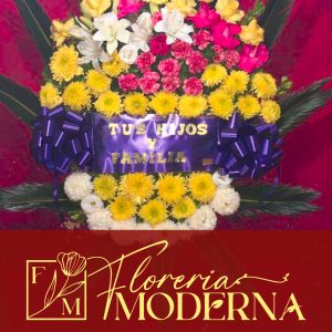 Floreria Moderna