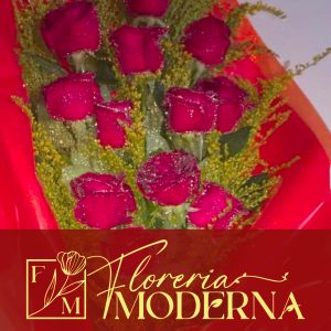 Floreria Moderna