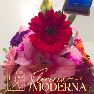 Floreria Moderna